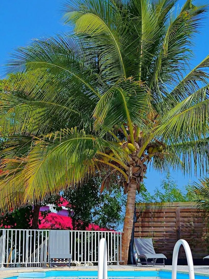 Villa Serenity Saint-Francois
